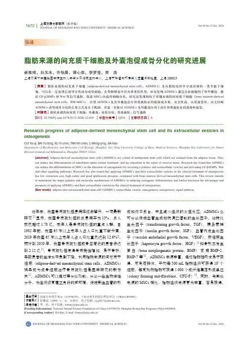 脂肪来源的间充质干细胞及外囊泡促成骨分化的研究进展