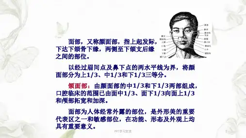 面部局部解剖学课件