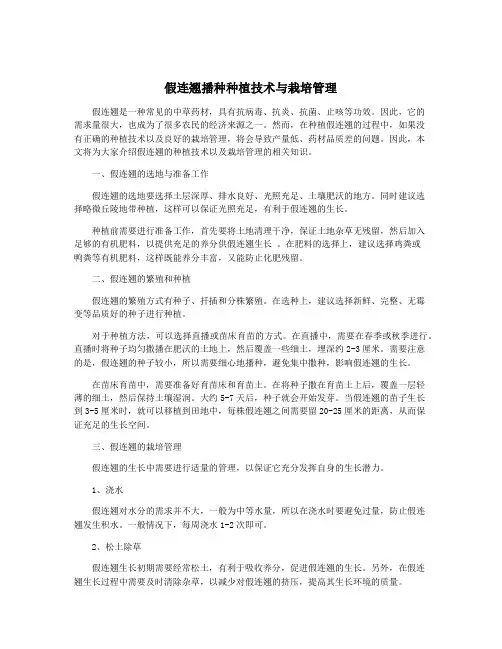 假连翘播种种植技术与栽培管理