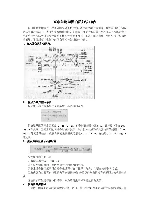 高中生物学蛋白质知识归纳