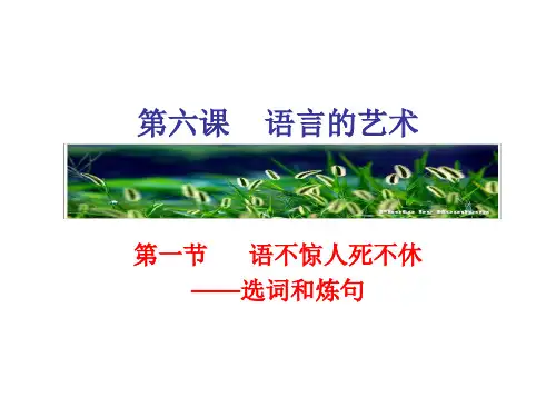 【高中语文】语不惊人死不休——选词和炼句ppt精品课件4