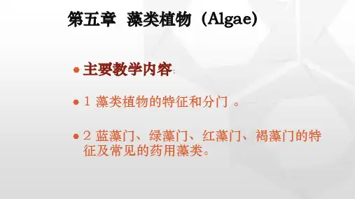 药用植物学第5章藻类植物详解