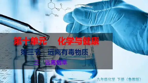 鲁教版九年级下册化学教学课件 第十单元 化学与健康 第三节 远离有毒物质 三、远离烟草