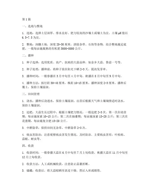大蒜栽培技术操作规程(3篇)