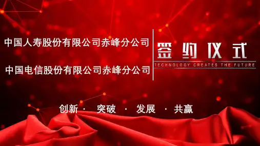 中国人寿战略合作方案