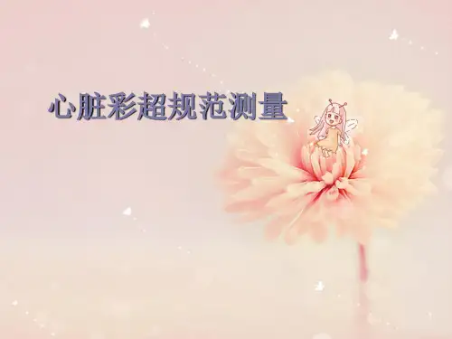 心脏彩超规范测量(课堂PPT)