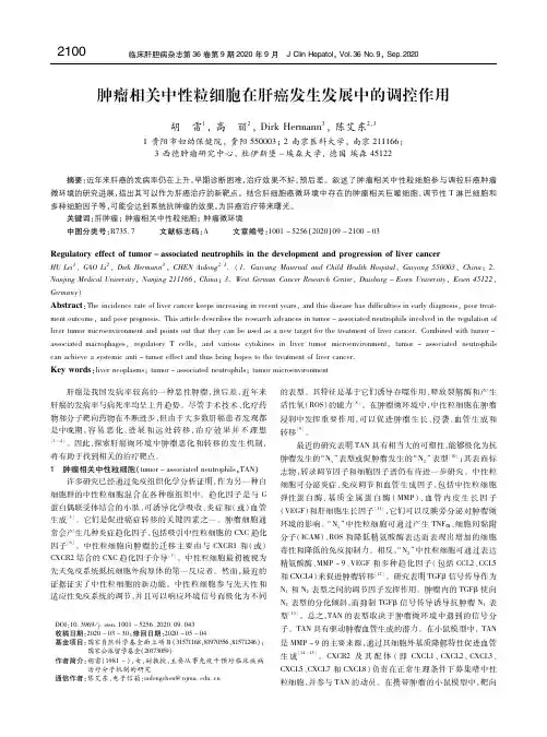 肿瘤相关中性粒细胞在肝癌发生发展中的调控作用 胡雷