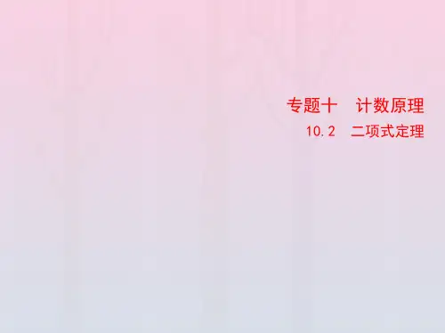 2023版高考数学一轮总复习10-2二项式定理课件