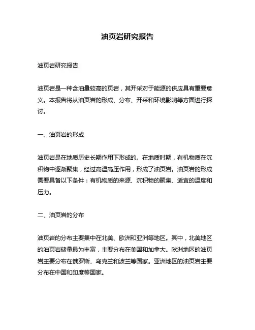 油页岩研究报告