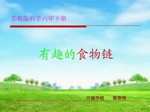 六年级下册科学课件4.3有趣的食物链｜苏教版43(共20张PPT)