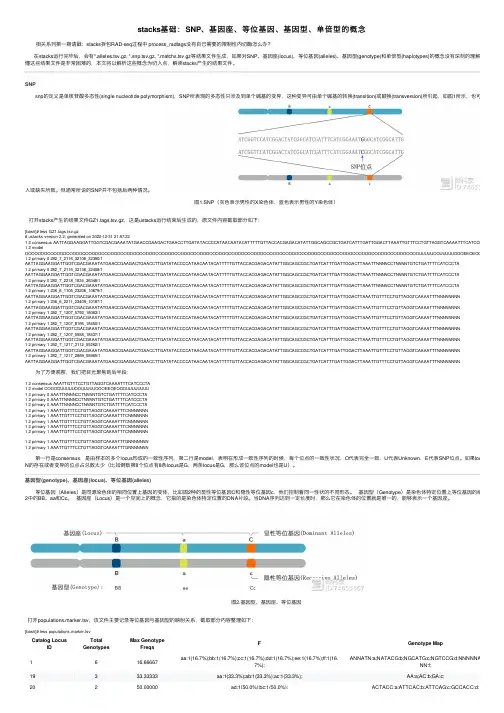 stacks基础：SNP、基因座、等位基因、基因型、单倍型的概念