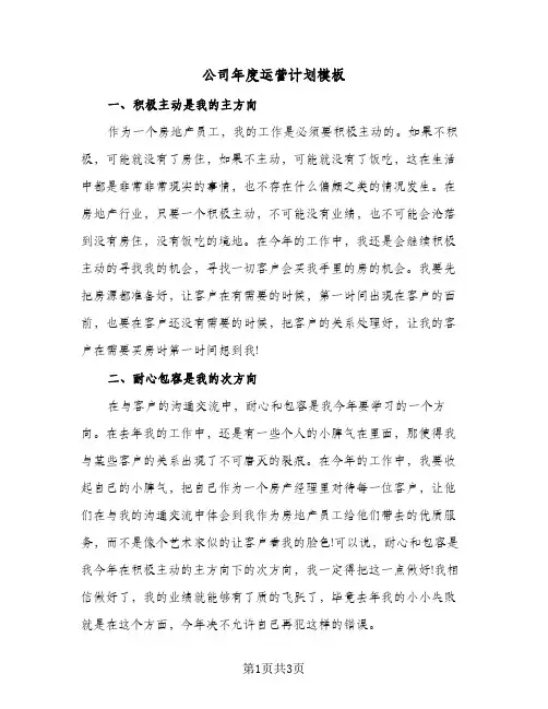 公司年度运营计划模板（2篇）