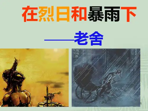《在烈日和暴雨下》PPT课件