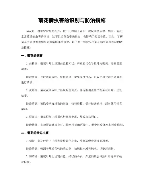 菊花病虫害的识别与防治措施