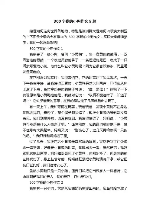 300字我的小狗作文5篇