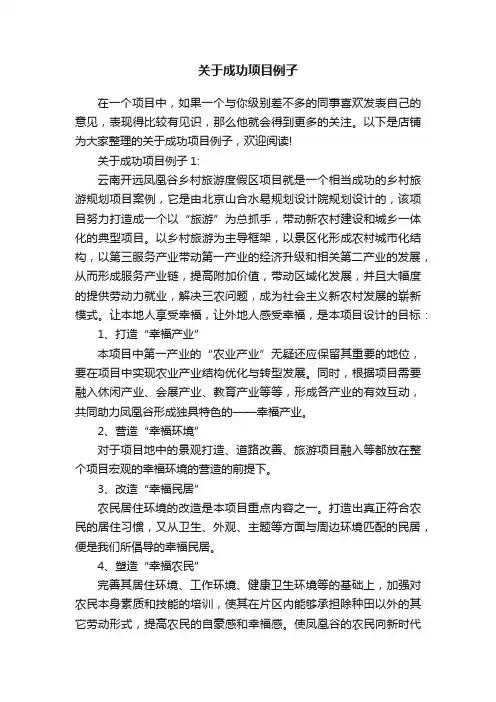 关于成功项目例子