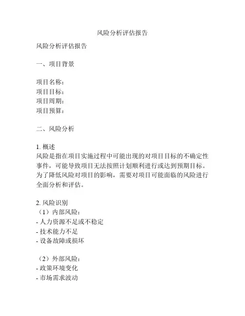 风险分析评估报告