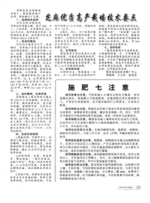 芝麻优质高产栽培技术要点