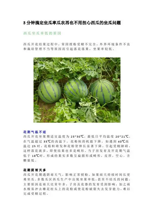 3分钟搞定坐瓜率瓜农再也不用担心西瓜的坐瓜问题