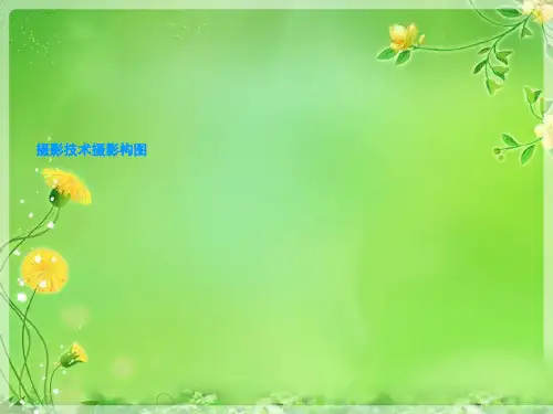 摄影技术摄影构图
