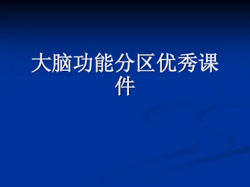 大脑功能分区优秀课件