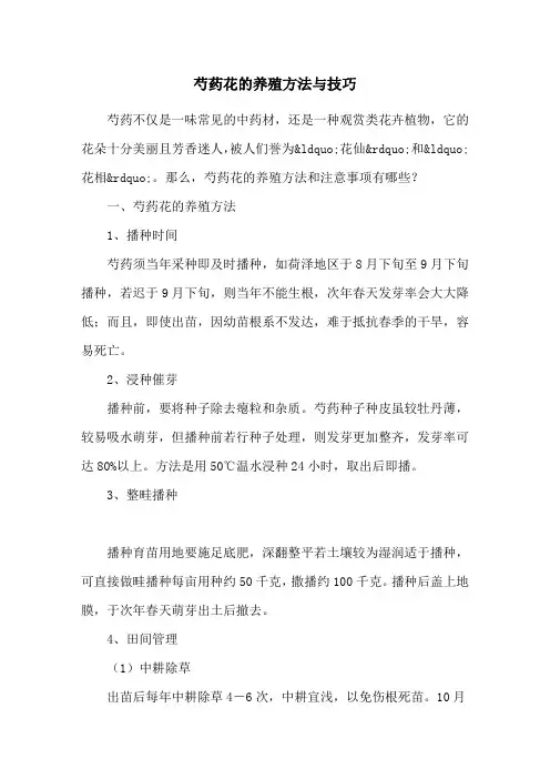 芍药花的养殖方法与技巧