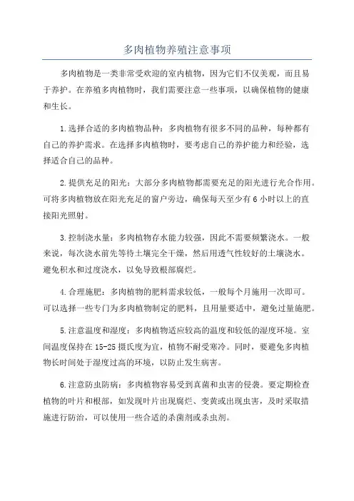 多肉植物养殖注意事项