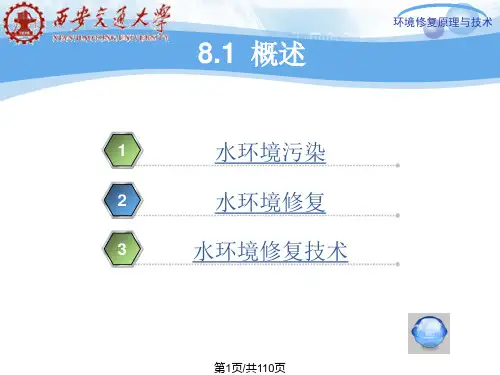 湖泊水库水环境污染PPT课件