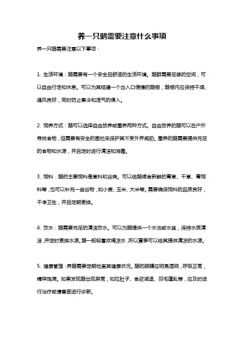 养一只鹅需要注意什么事项
