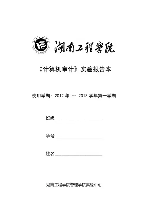 计算机审计实验报告