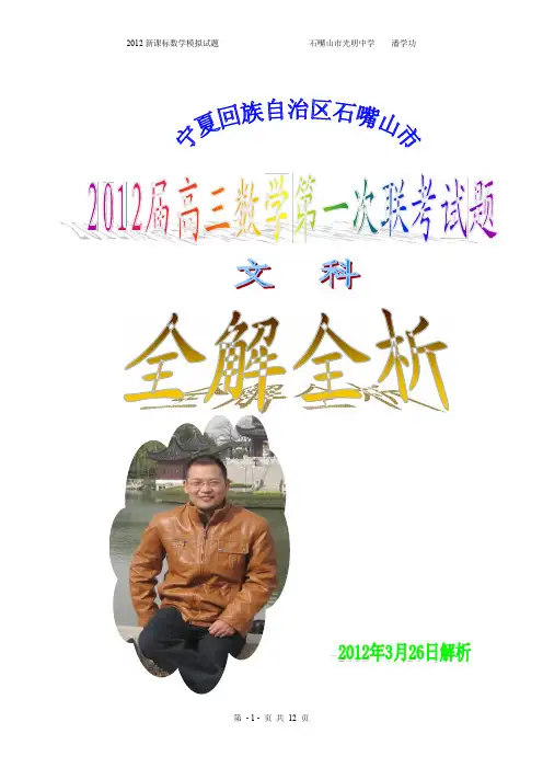 2012宁夏石嘴山市第一次数学联考试题(文科)全解全析