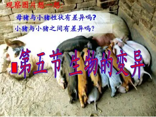 第五节 生物的变异(正式)