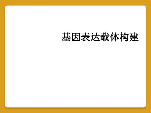 基因表达载体构建