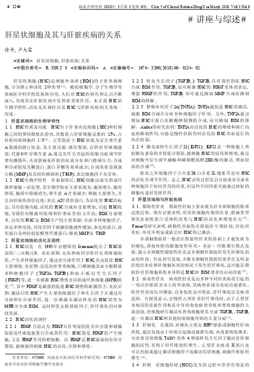 肝星状细胞及其与肝脏疾病的关系