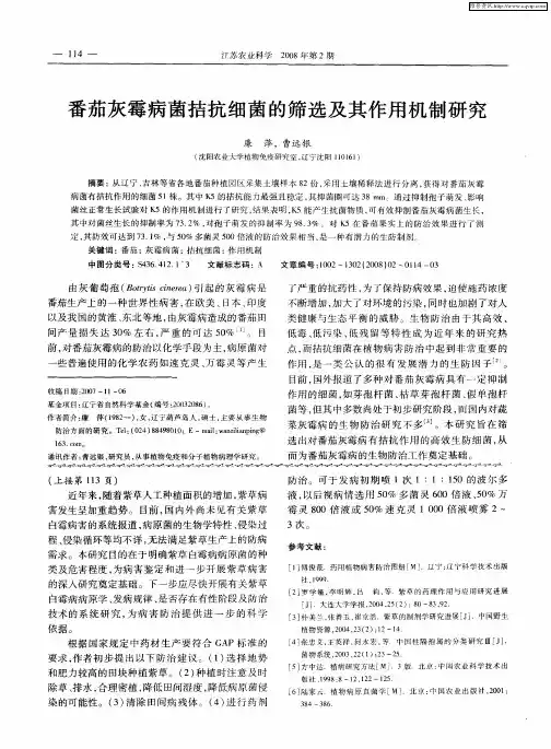 番茄灰霉病菌拮抗细菌的筛选及其作用机制研究