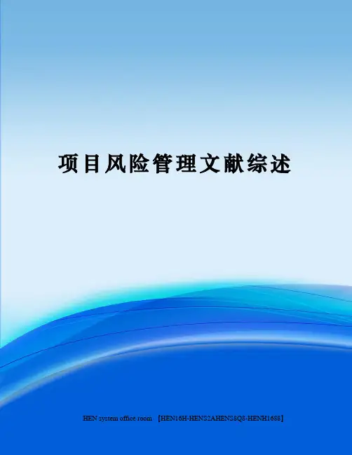 项目风险管理文献综述完整版