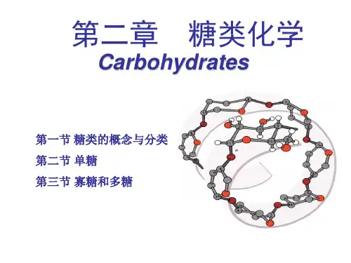 生物化学——2糖类