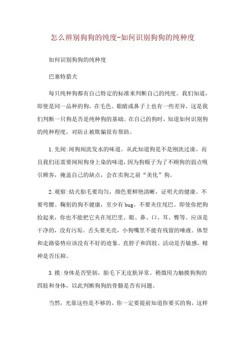 怎么辨别狗狗的纯度-如何识别狗狗的纯种度