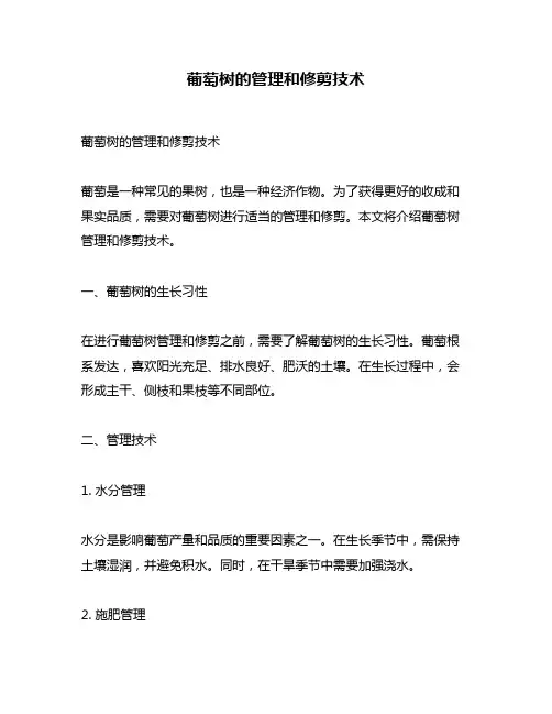 葡萄树的管理和修剪技术