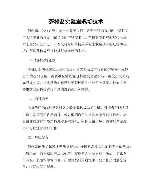 茶树菇实验室栽培技术