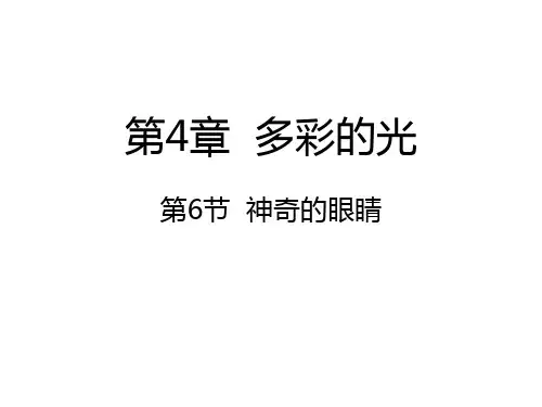 沪科版八年级物理4.6神奇的眼睛 (共41张PPT)