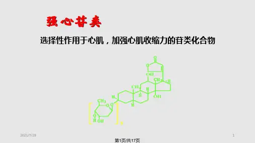 西地兰对豚鼠心电图的影响(本科PPT课件