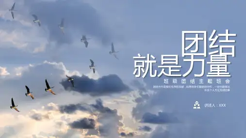 小学生主题班会  团结就是力量 课件(共25张PPT)