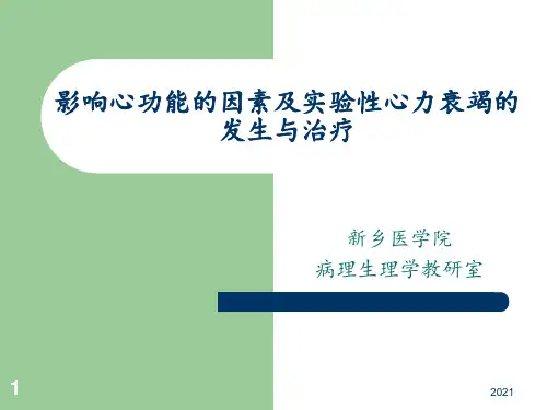影响心功能的因素及实验性心力衰竭的发生与治疗PPT课件