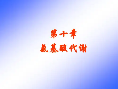 生物化学-10.19--第十章 氨基酸代谢