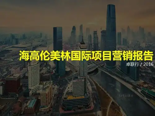 某国际项目营销报告PPT(共 55张)