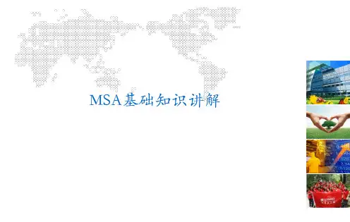 MSA基础知识讲解