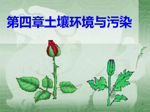 第四章-土壤环境与污染PPT课件