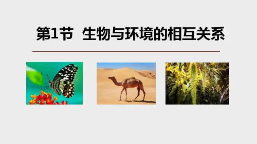 生物与环境的相互关系(PPT课件(初中科学)23张)