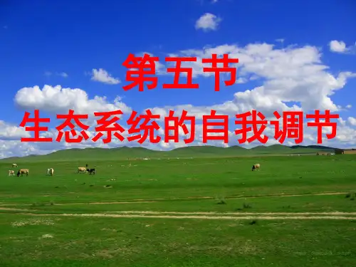 生态系统的自我调节-(课堂PPT)